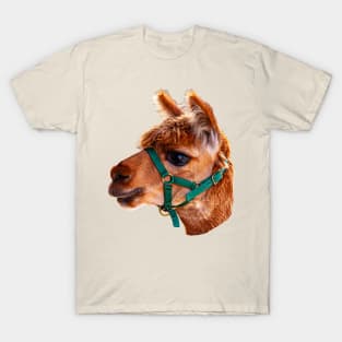 Alpaca Head T-Shirt